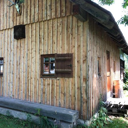 Waldheimathuette Villa Sankt Kathrein am Hauenstein Екстериор снимка
