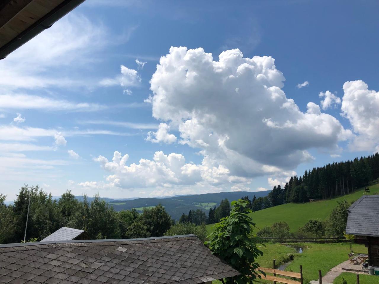 Waldheimathuette Villa Sankt Kathrein am Hauenstein Екстериор снимка