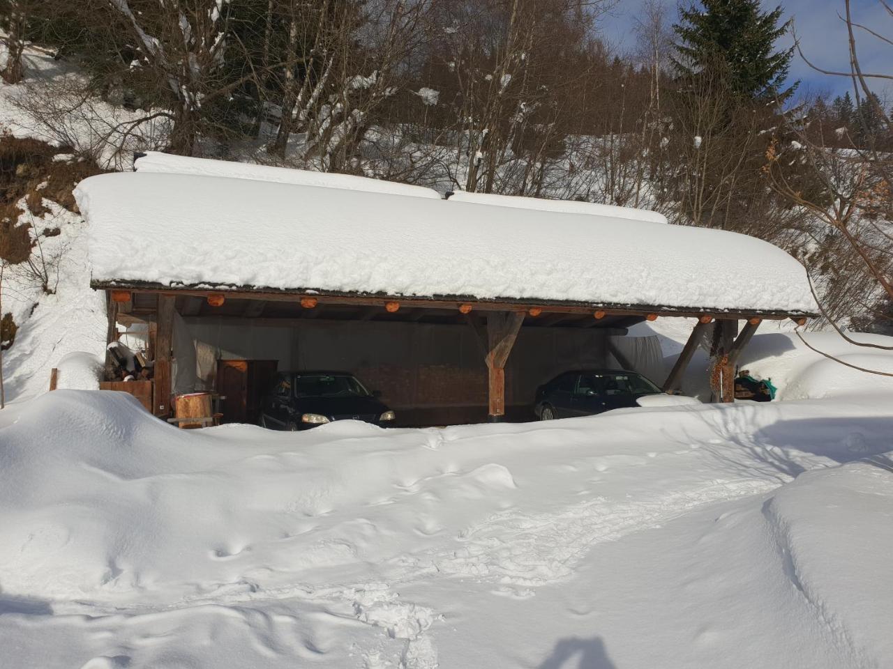 Waldheimathuette Villa Sankt Kathrein am Hauenstein Екстериор снимка