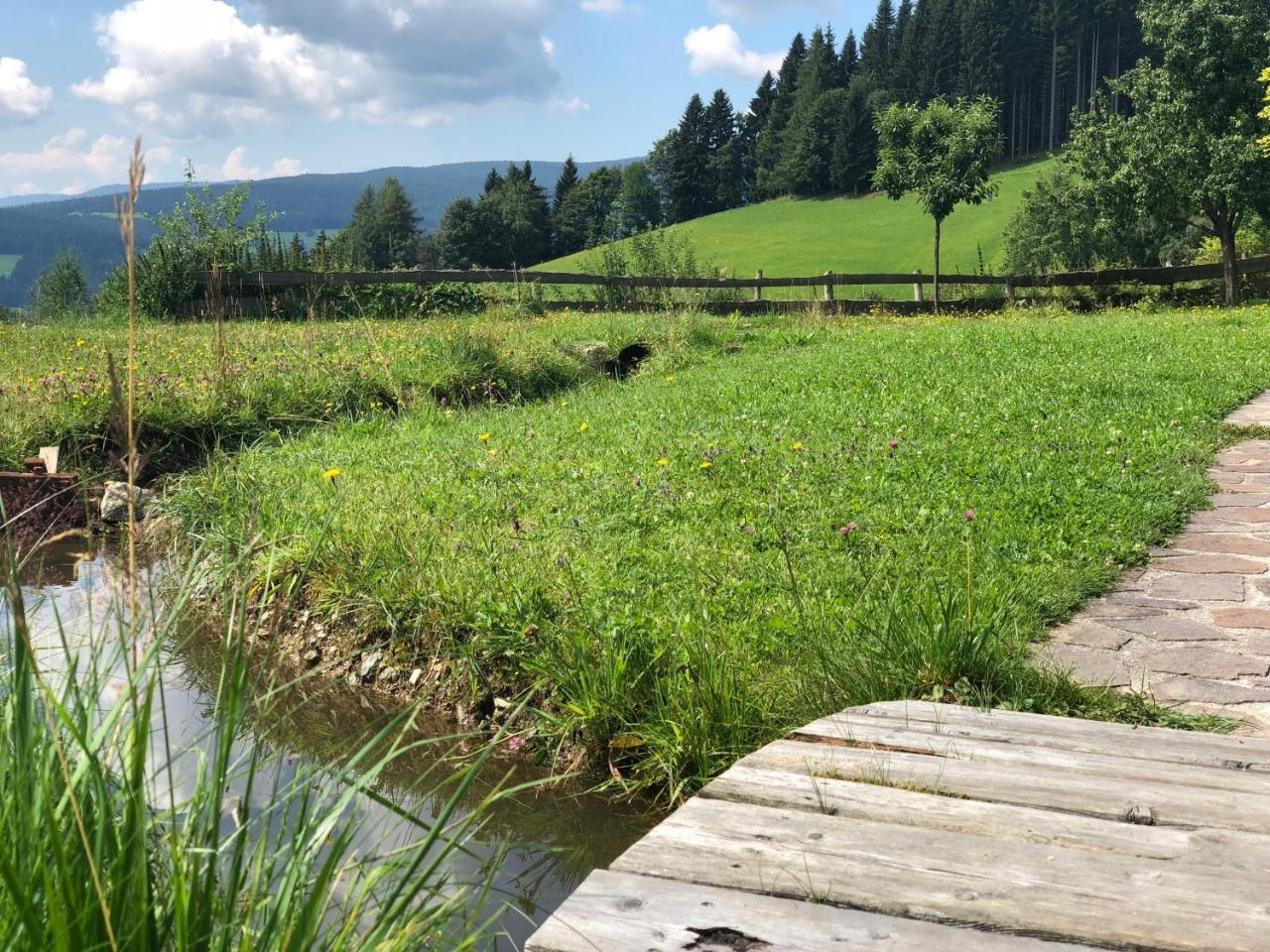 Waldheimathuette Villa Sankt Kathrein am Hauenstein Екстериор снимка