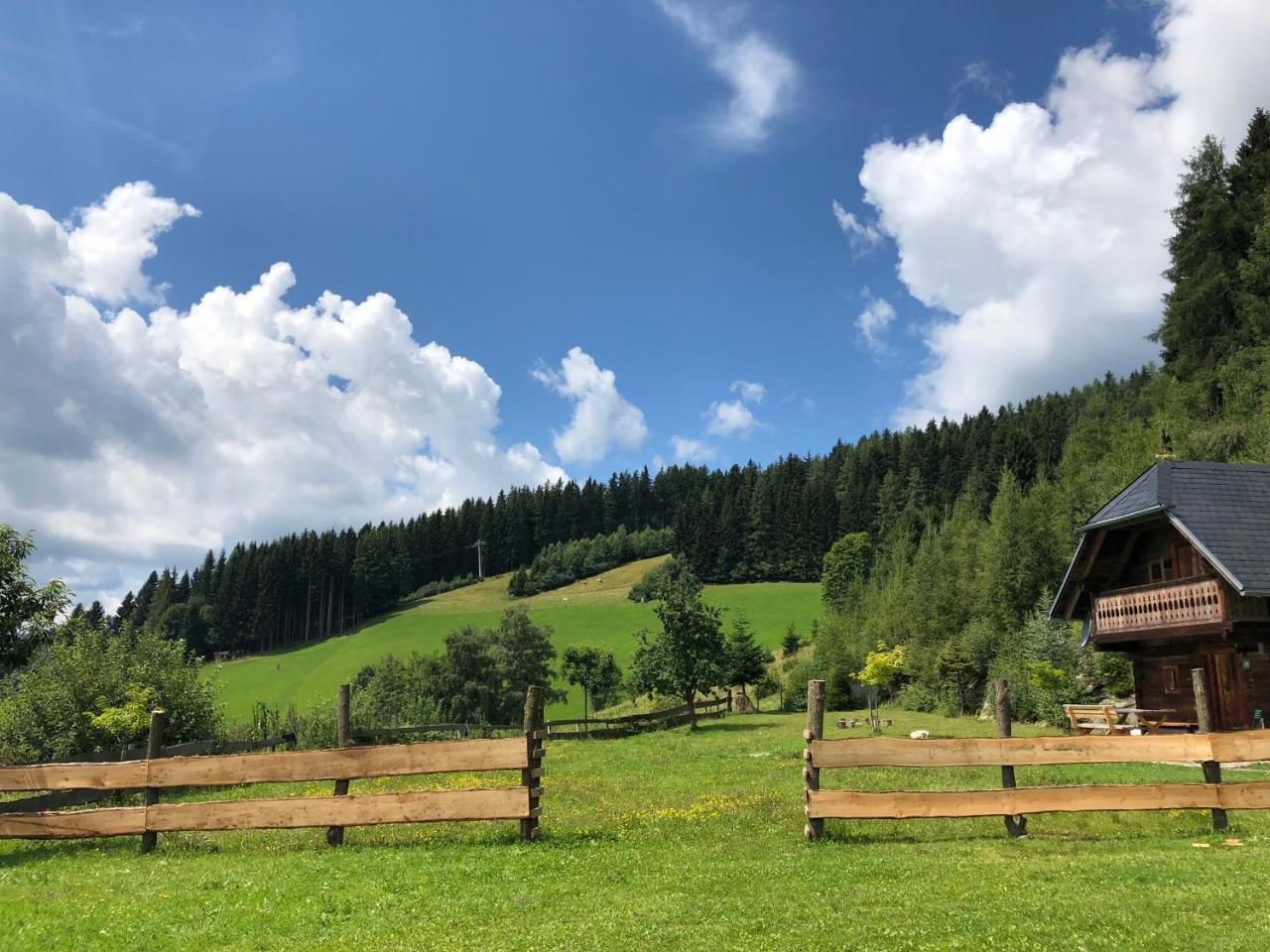 Waldheimathuette Villa Sankt Kathrein am Hauenstein Екстериор снимка
