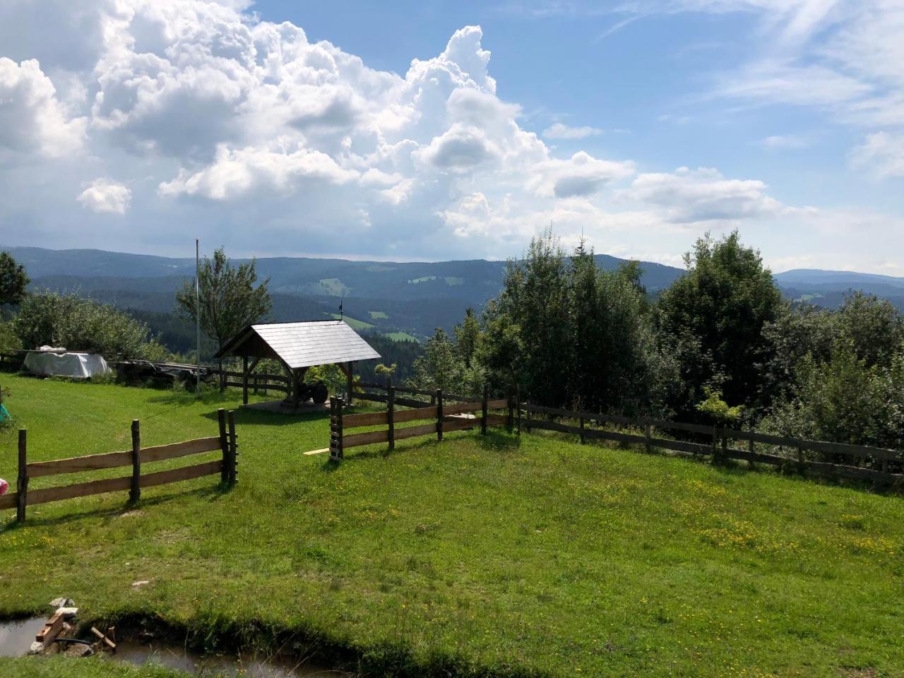 Waldheimathuette Villa Sankt Kathrein am Hauenstein Екстериор снимка