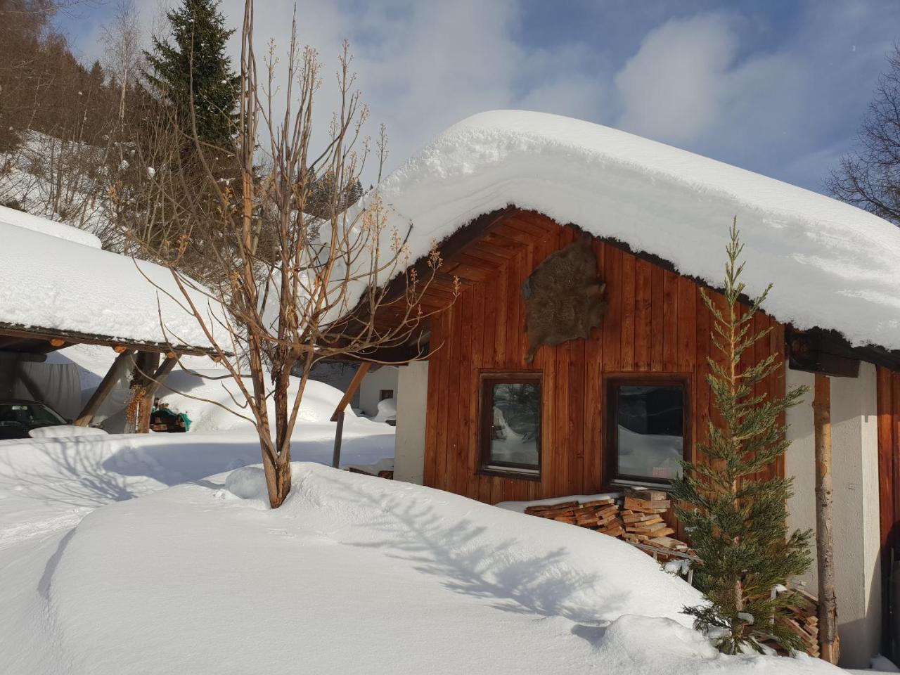 Waldheimathuette Villa Sankt Kathrein am Hauenstein Екстериор снимка