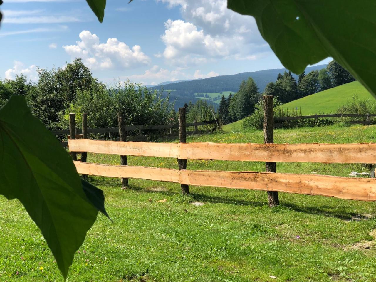 Waldheimathuette Villa Sankt Kathrein am Hauenstein Екстериор снимка