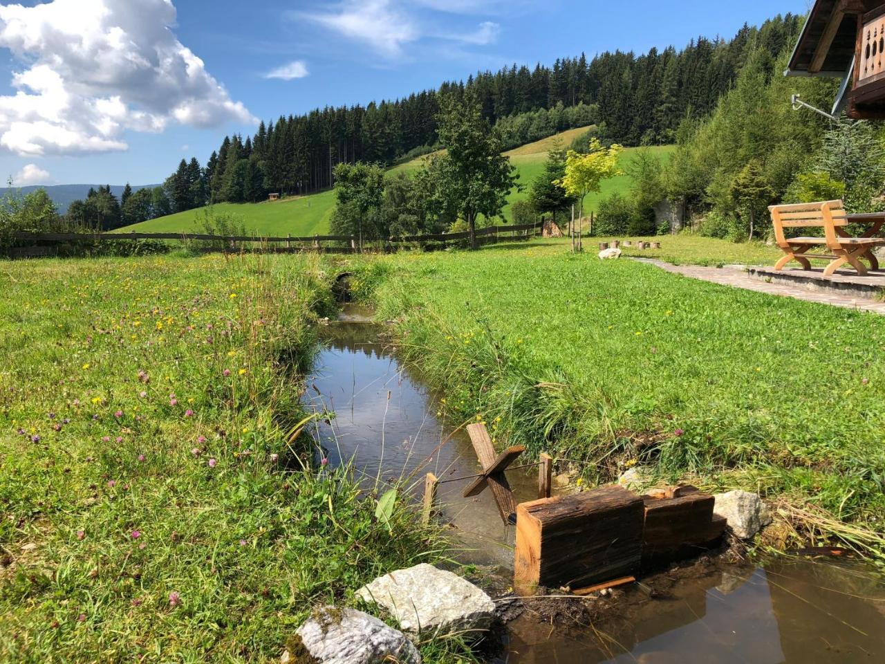 Waldheimathuette Villa Sankt Kathrein am Hauenstein Екстериор снимка