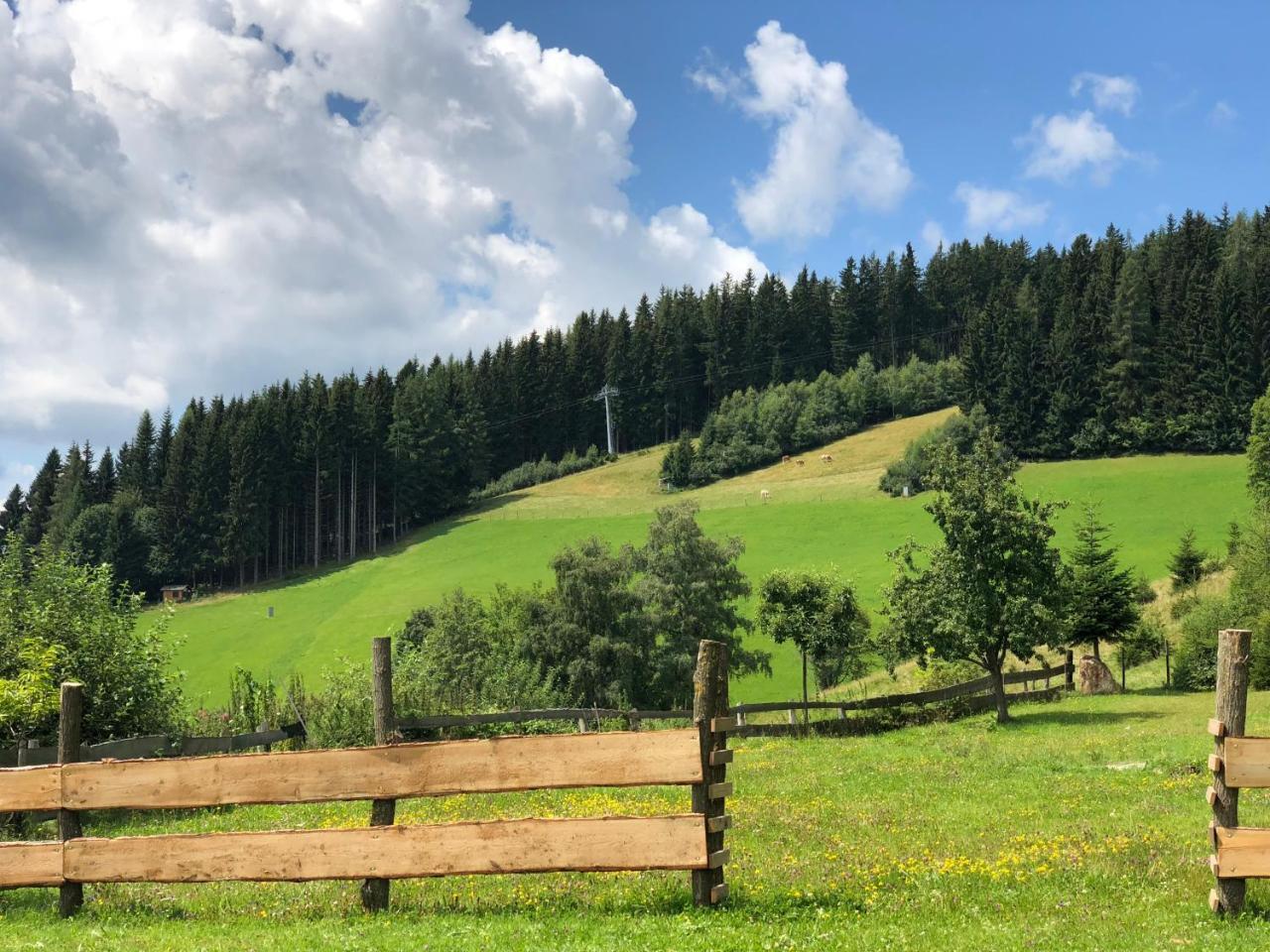 Waldheimathuette Villa Sankt Kathrein am Hauenstein Екстериор снимка